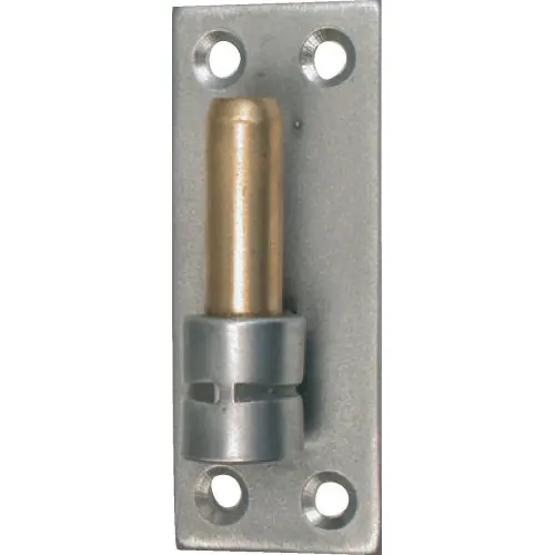 Gond Sur Platine Inox Brossé, Dia. 16 X Ht.180 Mm – AFBAT Nouvel Arrivage
