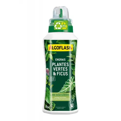 Engrais plantes vertes, 500ml – Algoflash Meilleur Choix