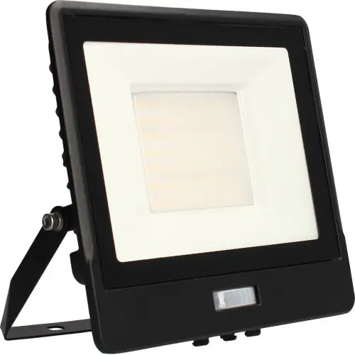 Projecteur mural ALTO - 50W, 4000K, 4300lm, Noir - Détecteur IR - Arlux Lighting Livraison Express