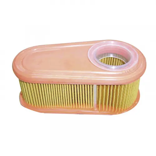 Filtre à air compatible Briggs & Stratton, remplace 795066 – Arnold Prix Réduit