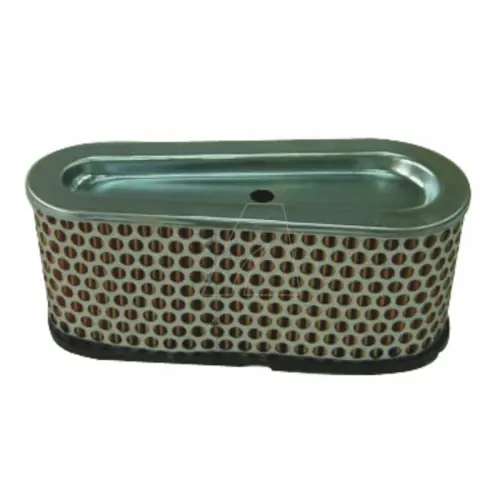 Marque Filtre à air compatible pour moteur Briggs & Stratton, remplace 496894S - Arnold