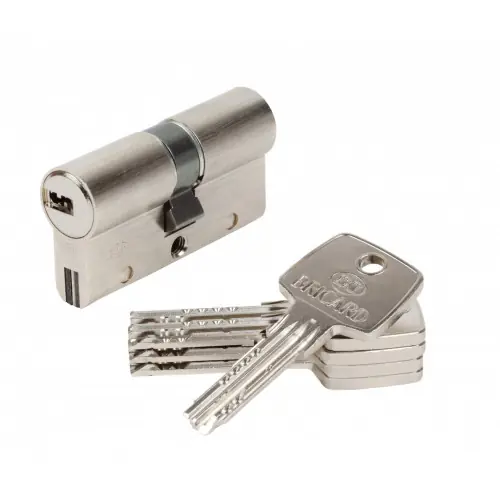 Achetez Aujourd&rsquo;hui Cylindre de serrure BRICARD trial s débrayable L.30 + 30 mm – BRICARD