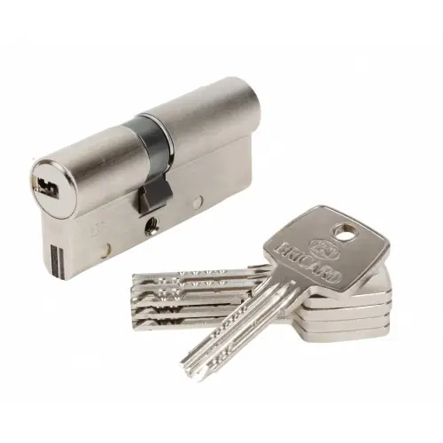 Cylindre de serrure BRICARD trial s débrayable L.30 + 40 mm – BRICARD Offre Spéciale