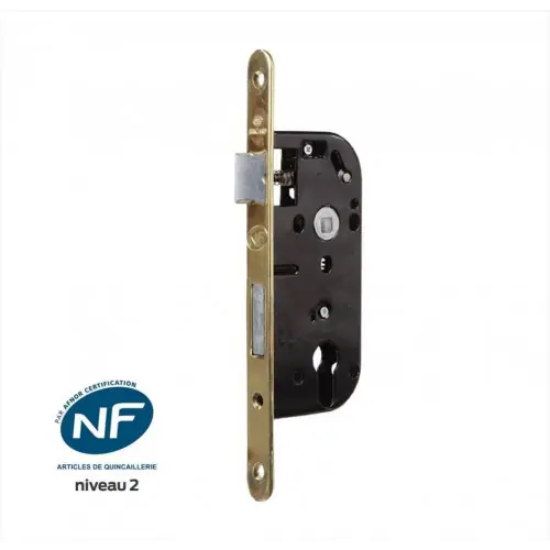 Populaire Serrure encastrée BRICARD, certifiée NF, pour cylindre, axe 40 mm - BRICARD