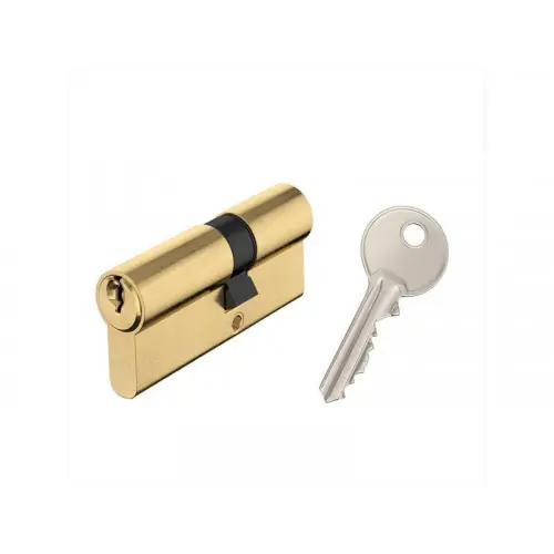 Populaire Cylindre De Serrure Débrayable L.30 + 40 Mm - Centrale Brico