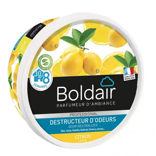 Expédié Aujourd&rsquo;hui Destructeur d‘odeur gel Boldair citron 300 G – Centrale Brico