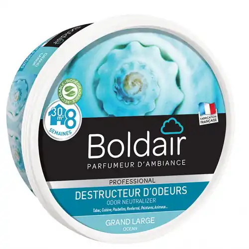 Satisfait Ou Remboursé Destructeur d‘odeur gel Boldair odeur marine 300 g – Centrale Brico