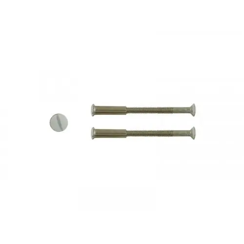 Lot De 2 Vis Acier Laqué, L.4.5 X L.0.7 - CHRISLIGNE Quantité Limitée