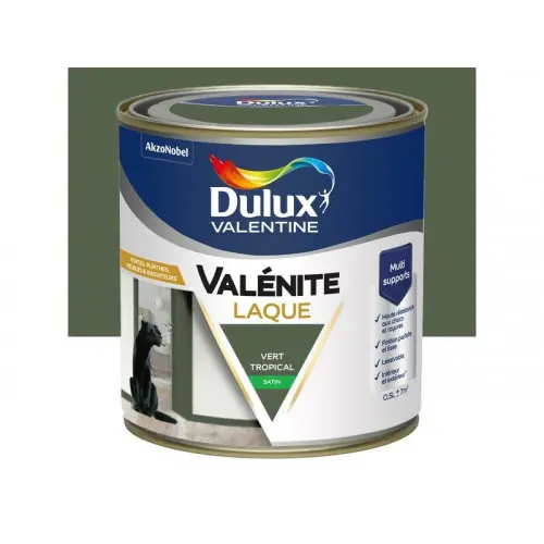 Acheter Direct Peinture boiserie vert tropical satin DULUX VALENTINE Valenite 0.5l – DULUX VALENTINE