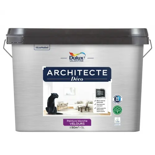 Populaire Peinture mur, plafond, blanc velours DULUX VALENTINE Architecte déco 5L - DULUX VALENTINE