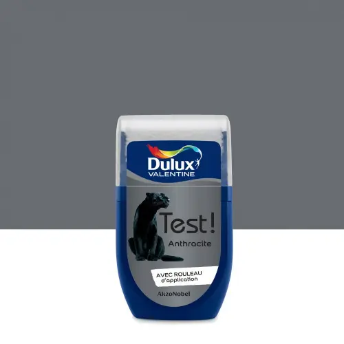 Promotion Saisonnière Testeur peinture Crème de couleur anthracite satin 30 mL - DULUX VALENTINE - DULUX VALENTINE