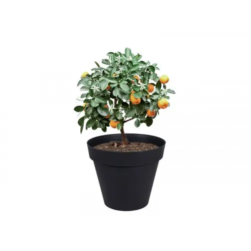 Pot Plastique Diam.80 X H.67 Cm Gris Anthracite – EDA Satisfait Ou Remboursé