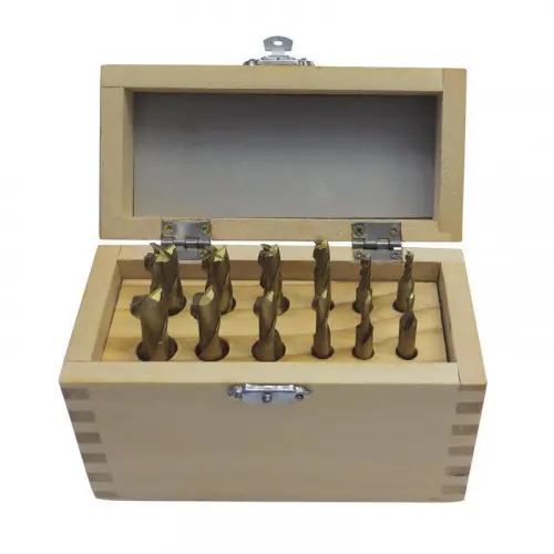 Promotion Saisonnière Assortiment de 12 fraises HSS TiN D. 3 à 12 mm – Holzmann