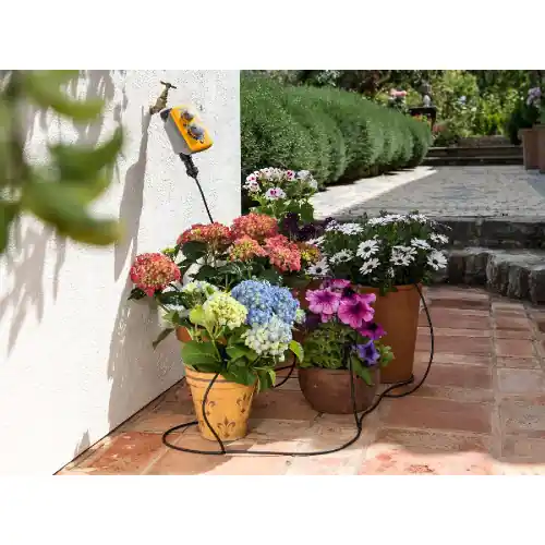 Promotion Saisonnière Kit d’arrosage automatique Micro Irrigation 25 pots - HOZELOCK