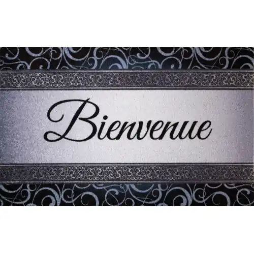 Tapis Dallas Bienvenu Gris 50X80Cm - ID MAT Réduction
