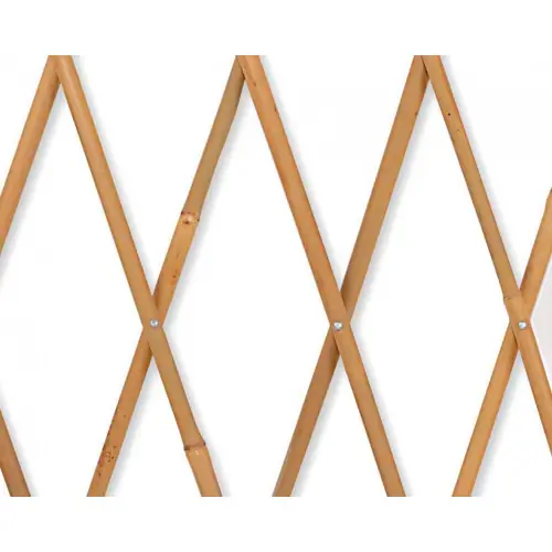 Commander Vite Treillage extensible droit en bois JANY TRADITION, l.200 x H.100 x P.3 cm – Jany