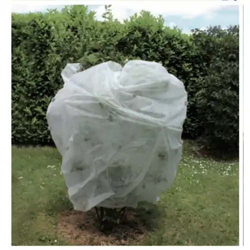 Voile d‘hivernage 30g/m² – 1,20×150 m – En polypropylène non tissé – blanc – Jany Vente Directe