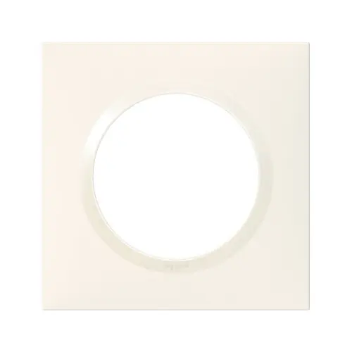 Plaque simple Dooxie, LEGRAND, blanc – LEGRAND Authentique