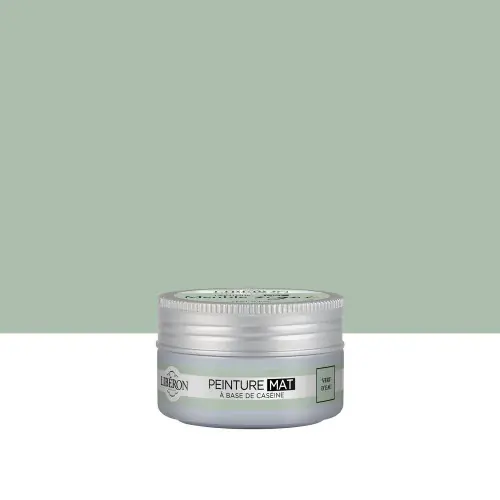 Bon Marché Peinture meuble et boiserie Caséine LIBÉRON vert d‘eau mat 75ml – LIBERON