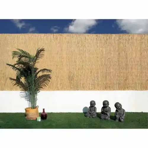 Usine Directe Canisse naturelle multi-tiges 1 x 5 m – roseaux fins – tissage galvanisé – NORTENE
