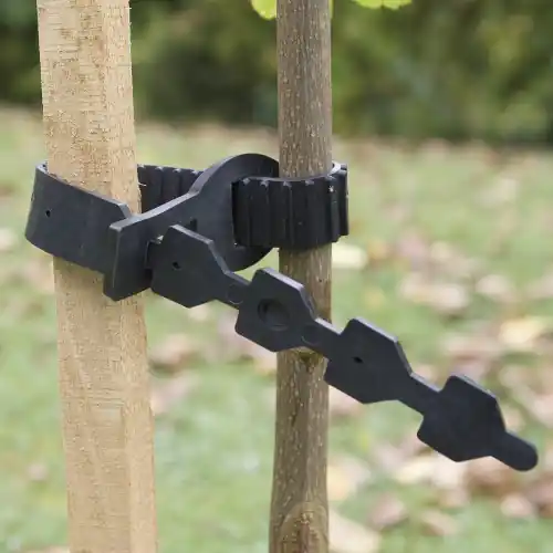 Collier arbre collier de 45 cm NORTENE - NORTENE Offre Exclusive