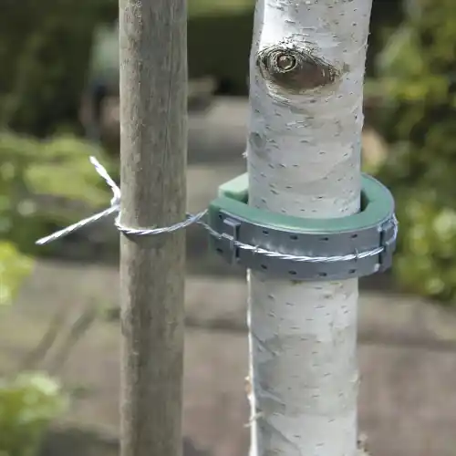 Commander Vite Collier pour arbres NORTENE, 0.6 m - NORTENE