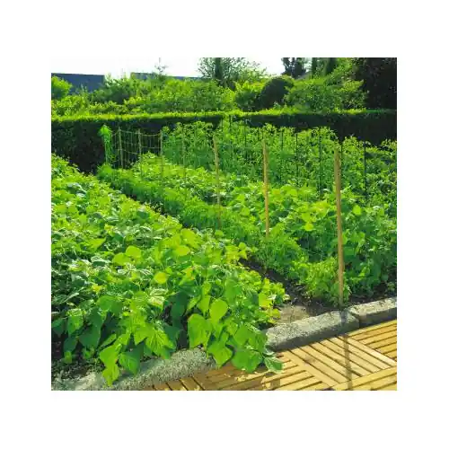Acheter En Ligne Filet à ramer 2 x 10 TRELLINET – NORTENE