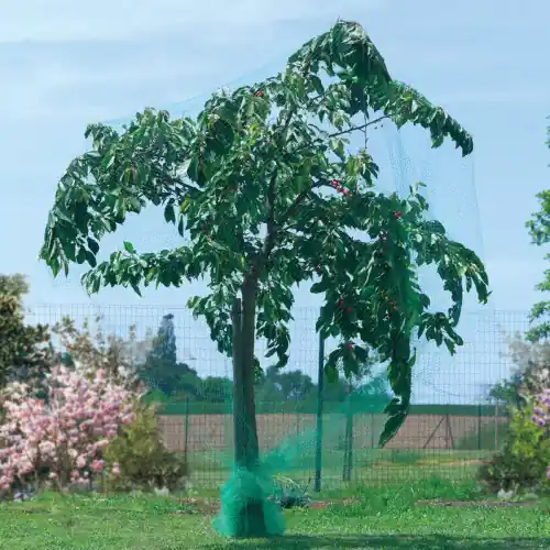 Filet de protection oiseaux « Birdnet » – 5 x 10 m – Vert – NORTENE Usine Directe
