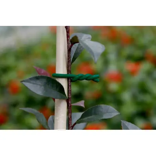 Lien mousse BIFLEX pour plantes fragiles - ø 5 mm - NORTENE Offre Exclusive
