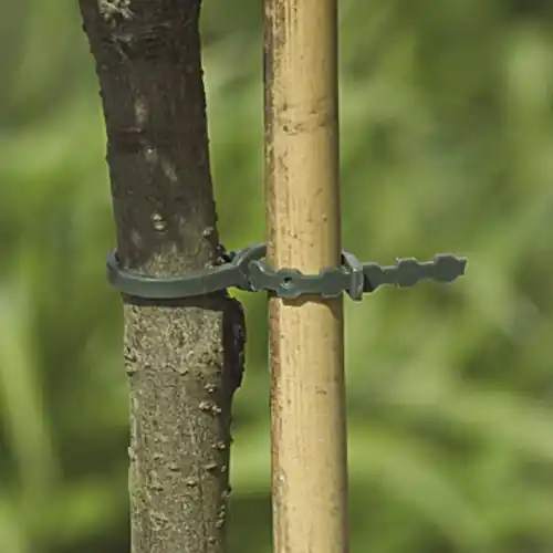 Lot de 20 liens pour arbres NORTENE, 0.37 m - NORTENE Satisfait Ou Remboursé