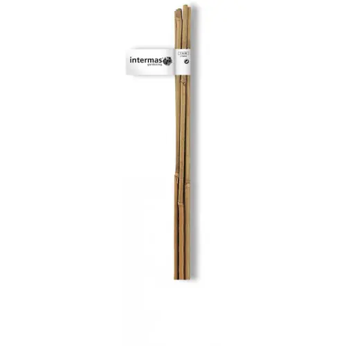 Lot de 6 tuteurs bambou droit NORTENE H.0.6 m - NORTENE Réduction