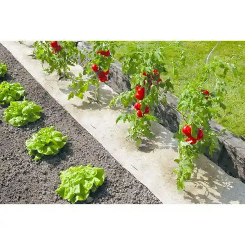 Paillage naturel 50 x 300 cm - pour jardin et potager 100% biodégradable - 500 g/m2 - NORTENE Haute Qualité
