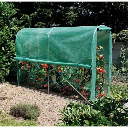 Serre tunnel "Tomato Greenhouse"pour potager - 3 x 1 x 2 m - NORTENE Pas Cher