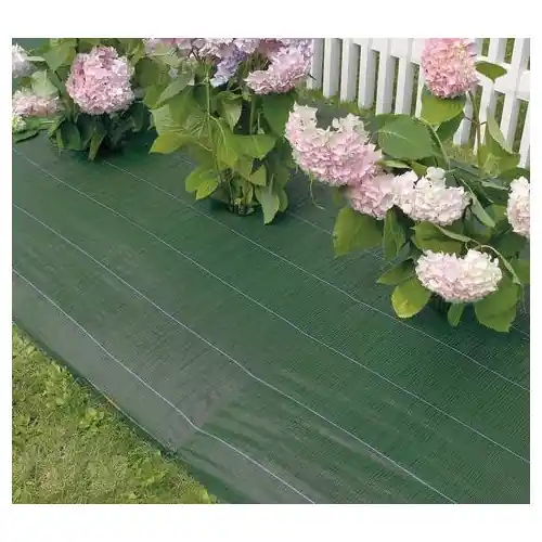 Achetez Aujourd'hui Toile de paillage Weedsol - Vert - 2,10x100m - NORTENE