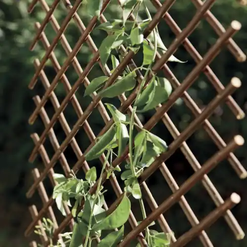Livraison Express Treillis extensible en osier naturel 0,5 x 1,5 m - finition brun - décoratif - NORTENE