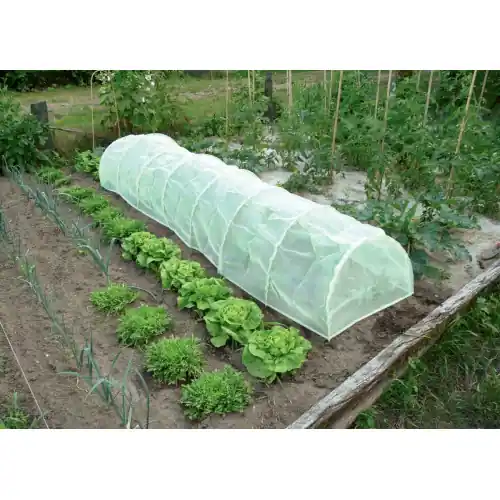 Tunnel accordéon avec filet anti-insectes "Protect Tunnel" - 0,60 x 0,45 x 3 m - NORTENE Dernière Chance