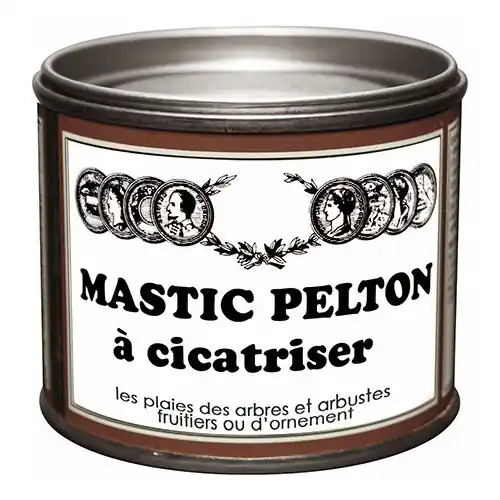 Remise Mastic à cicatriser PELTON, 195 g – PELTON
