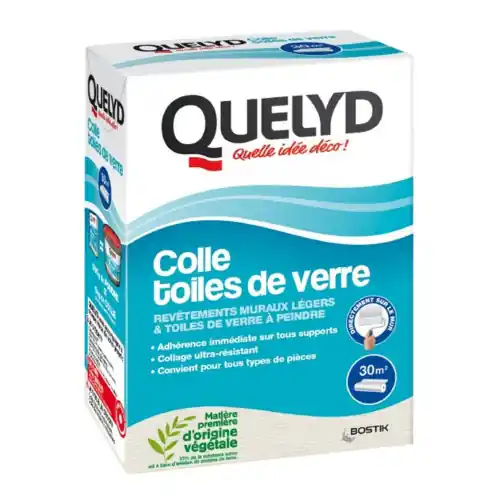 Colle en poudre concentrée pour toile de verre QUELYD, 500g – Quelyd Bon Plan