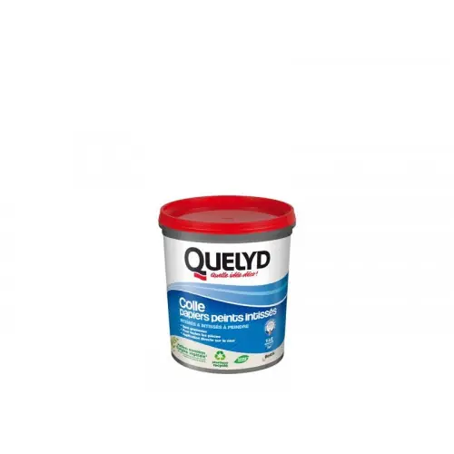 Top Vente Colle Pate papier peint intisse QUELYD, 1 kg - Quelyd