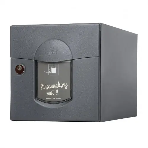 Boîte aux lettres normalisée - 2 portes extérieur - acier anthracite mat - RENZ Prix Promo
