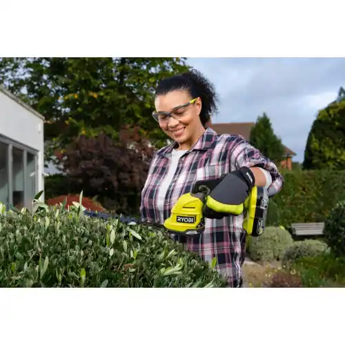 Meilleur Choix Sculpte végétaux RYOBI avec batterie 2 Ah RY18GSA - RYOBI