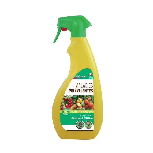 Dernière Chance Traitement de base polyvalent 750 ml - Sans marque