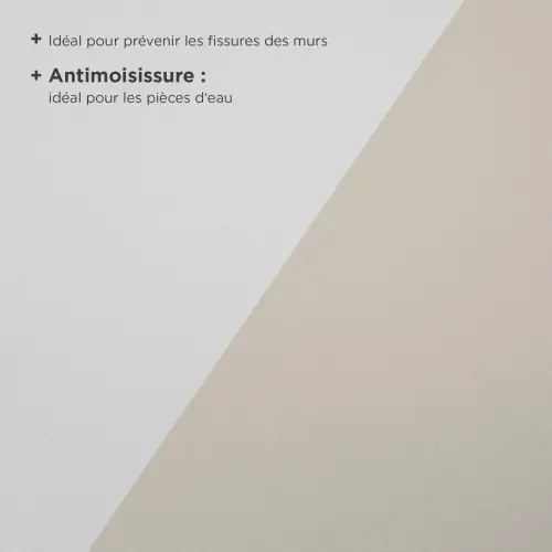 Voile de verre 130 g/m² anti-moisissure 20 m x 100 cm, prépeint – Sans marque Haute Qualité