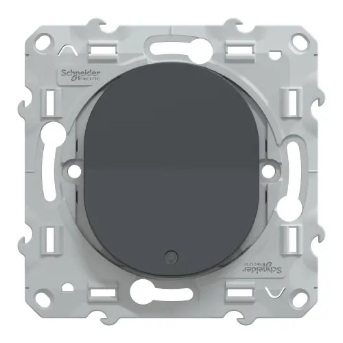 Interrupteur lumineux à assembler Ovalis, SCHNEIDER ELECTRIC, anthracite - SCHNEIDER ELECTRIC Commande En Gros