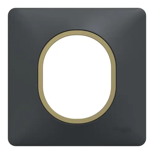 Plaque simple Ovalis, SCHNEIDER ELECTRIC, anthracite bague effet laiton - SCHNEIDER ELECTRIC Prix Promo