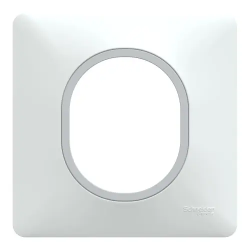 Offre Spéciale Plaque simple Ovalis, SCHNEIDER ELECTRIC, blanc bague effet argent chromé - SCHNEIDER ELECTRIC