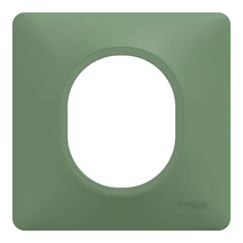 Usine Directe Plaque simple Ovalis, SCHNEIDER ELECTRIC, vert forêt - SCHNEIDER ELECTRIC