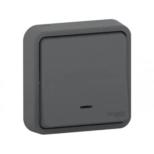 Top Vente Poussoir lumineux étanche complet Mureva Styl, SCHNEIDER ELECTRIC, anthracite - SCHNEIDER ELECTRIC