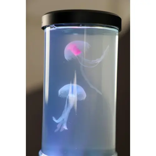 Lampe Medusa, pvc, noir, H.29 cm, LED – SEYNAVE Solde