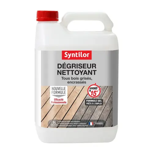 Réduction Dégriseur SYNTILOR Nettoyant 5 l, incolore – SYNTILOR